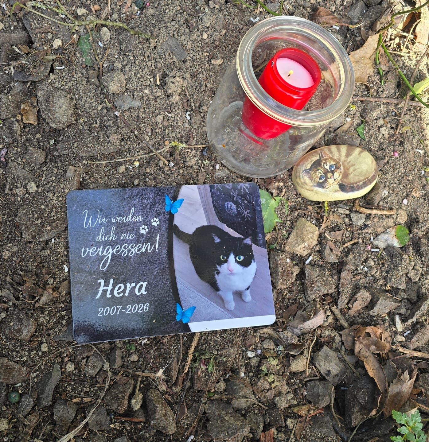 Customer photo review of Katzen Gedenktafel mit Foto & Spruch (UV- & Wetterfest)