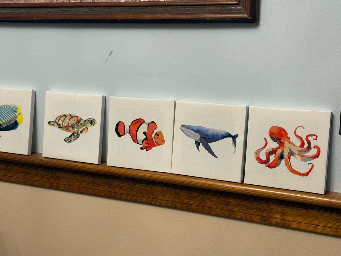 Customer photo review of 6 Mini Paintings - Fish Set