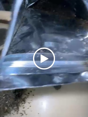 Customer video review of Sugar Shake - 1oz