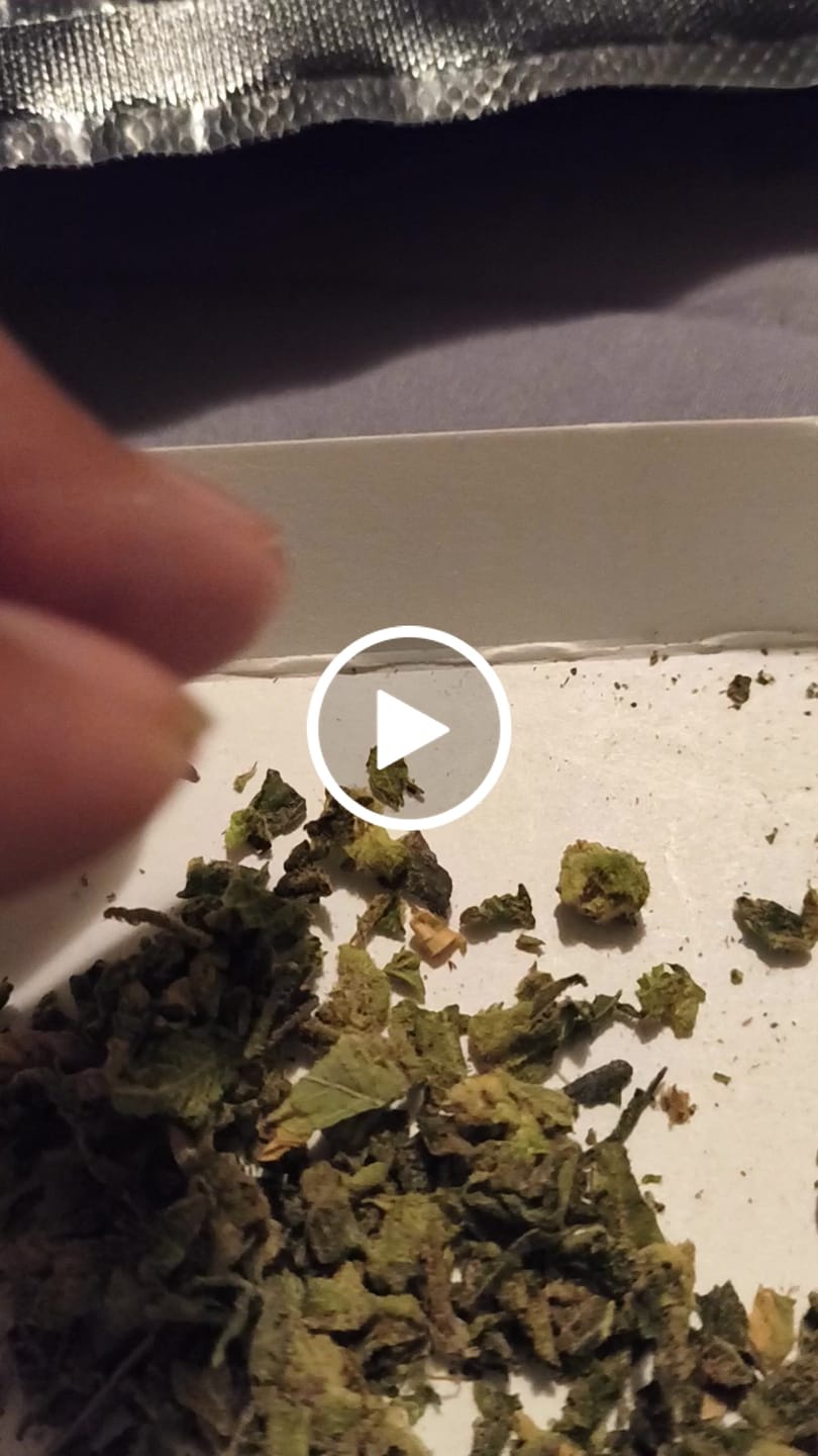 Customer video review of No 1. LA Pop Rock THCa Shake