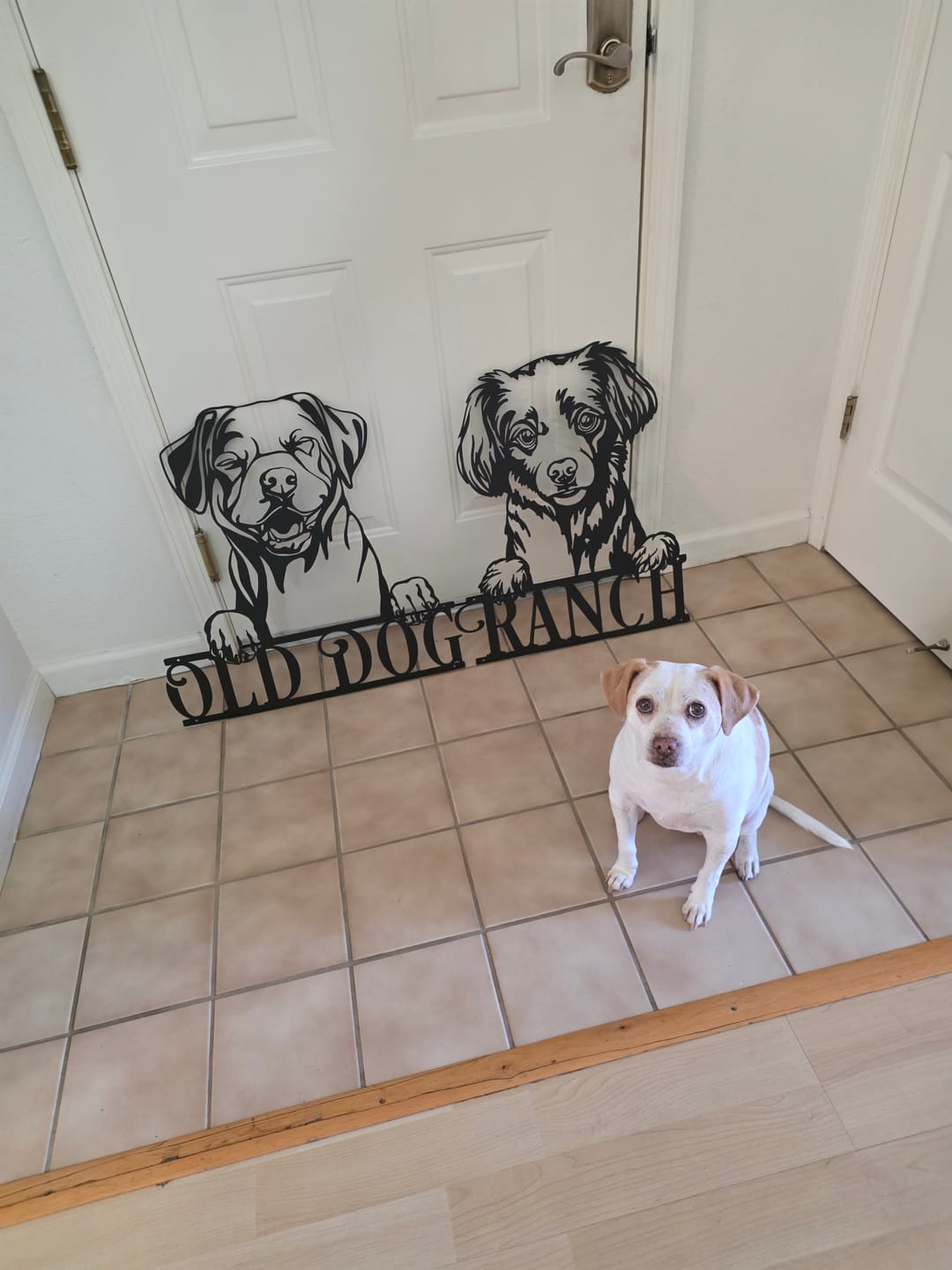 Customer photo review of Custom Dog Portrait Metal Sign