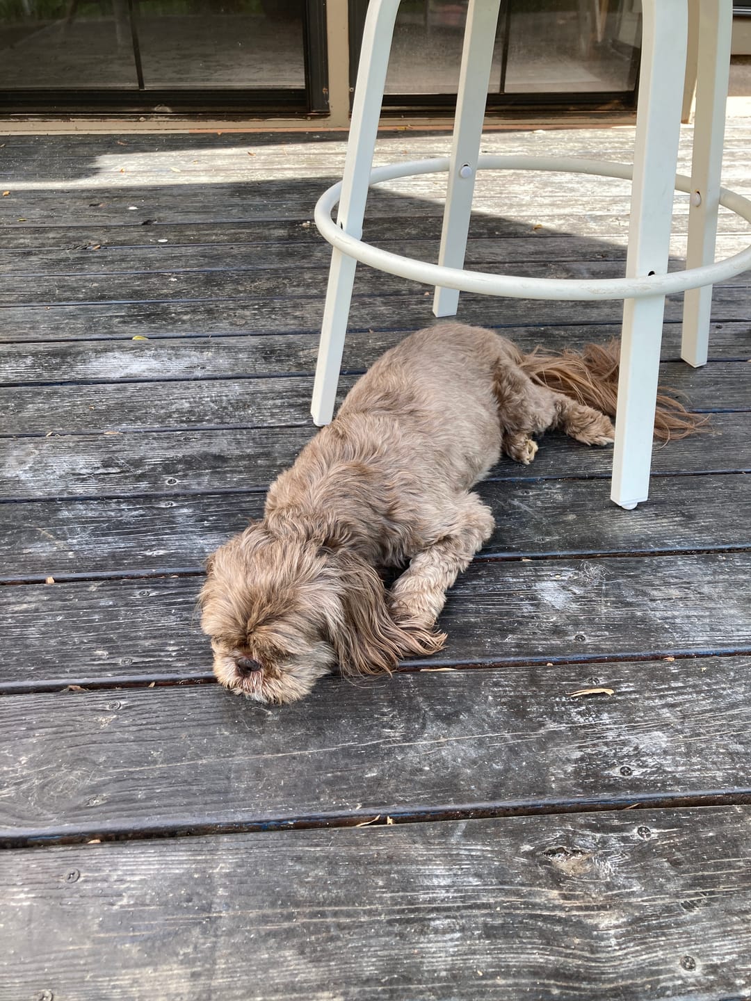 Customer photo review of USA Turkey Tendons