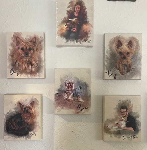 Customer's wall display of six personalized pet portraits featuring dogs and people in an artistic style.