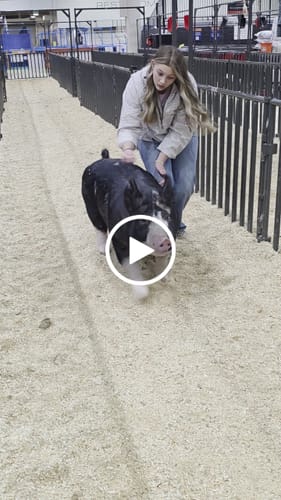 Customer video review of OptiWize Collagen +Plus Livestock Joint Supplement