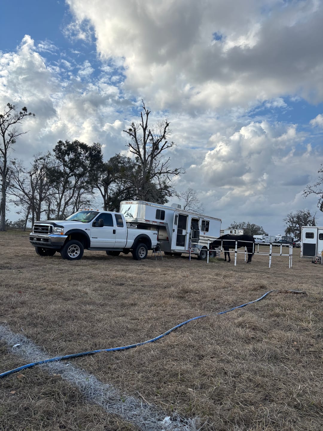 Customer photo review of Ready Made Portable Electric Horse Corral Fencing: (Electric EconoLine 8 Panels; 2 Rails)