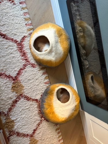 Customer photo review of WoolNest Premium