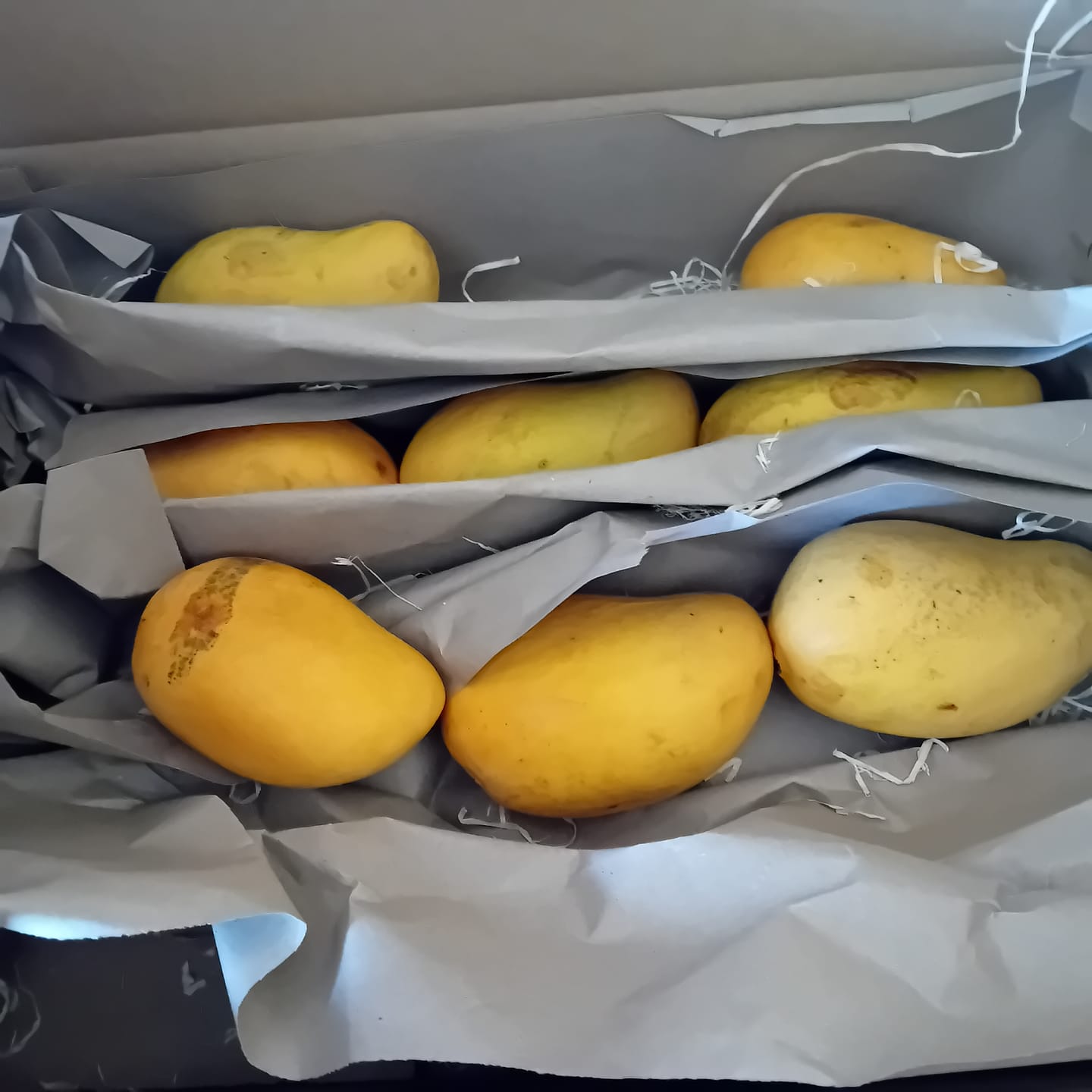 Customer photo review of Mango Honig „Ataulfo“ Bio von Joe Roman baumgereifte Flugware
