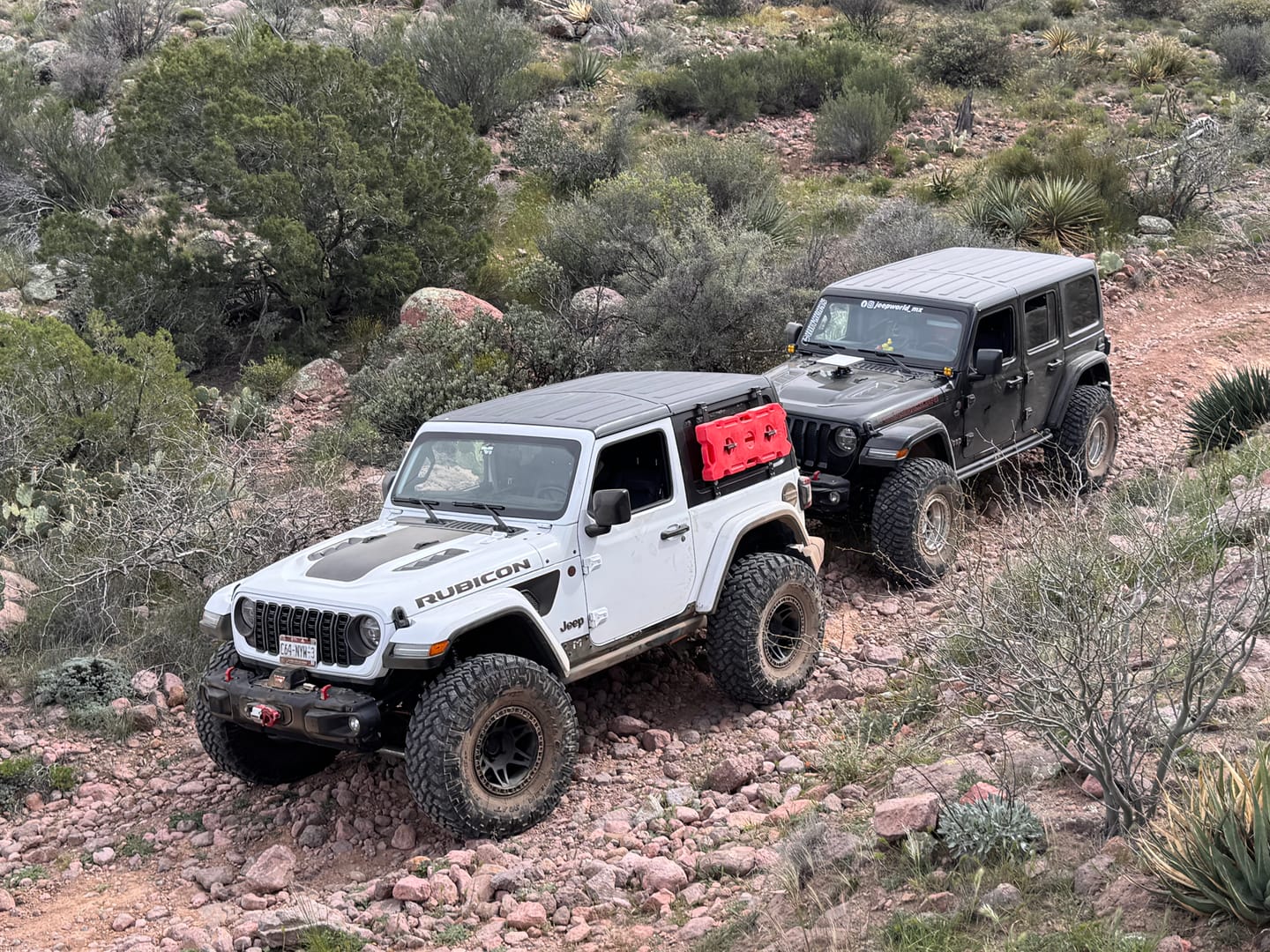 Customer photo review of Hood Graphic for RUBICON | Black Topo - fits Wrangler JL & Gladiator JT