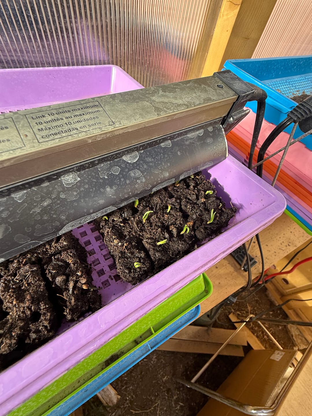Customer photo review of Soil Blocking Mix*