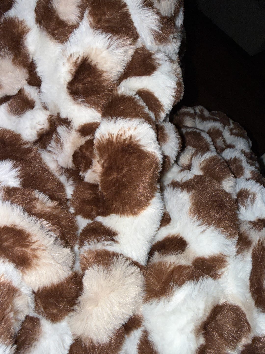 Customer photo review of Leopard Lush
