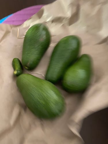 Unscharfe Aufnahme: Ein Kunde zeigt mehrere grüne Fuerte-Avocados, darunter eine sehr kleine, auf braunem Papier.