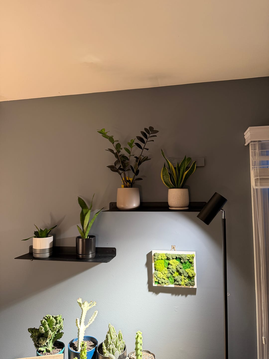 Customer photo review of Modern Metal Floating Shelf - Minimalist Wall Storage & Display