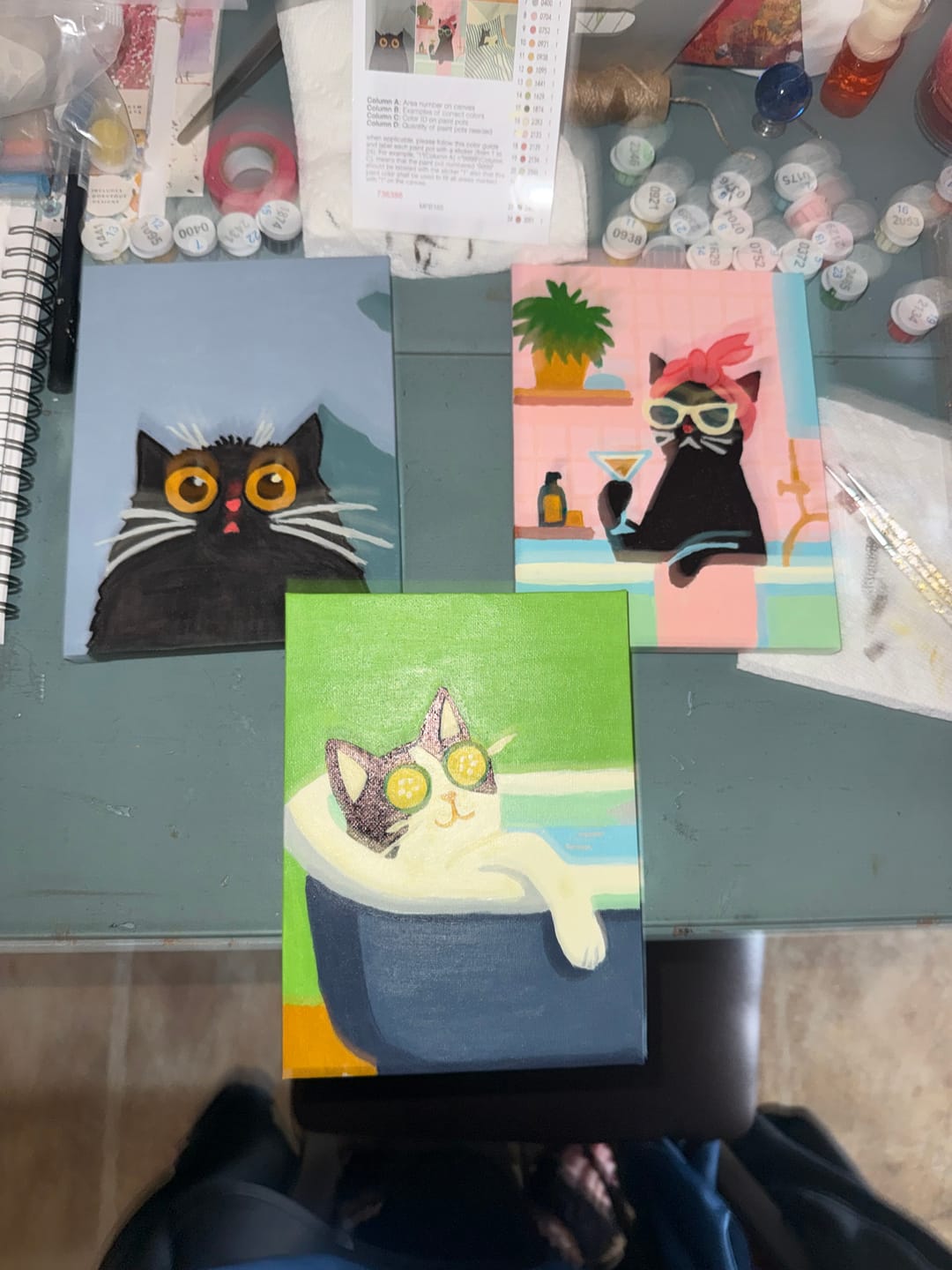 Customer photo review of 6 Mini Paintings - Crazy Cat Set