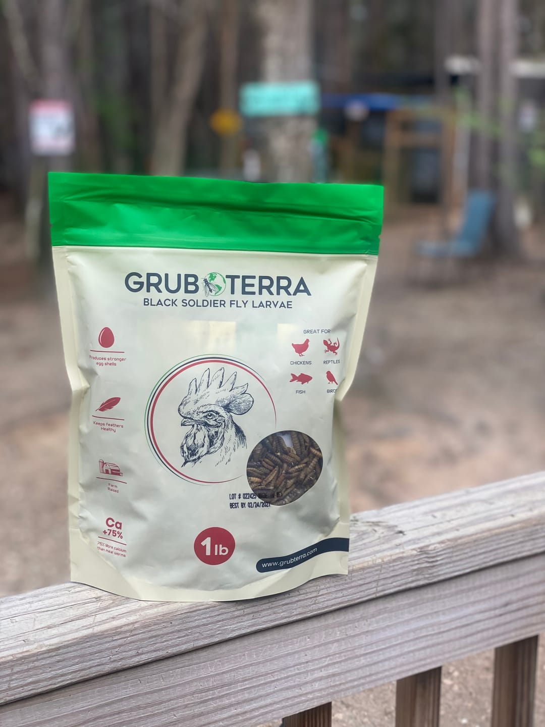 Customer photo review of GrubTerra Dried Larvae Sample