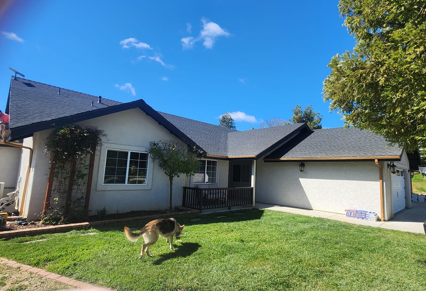 Customer photo review of Metallic Paint