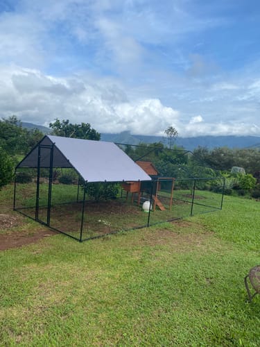 Customer photo review of Walk-In Chicken Coop Run with UV Cover - 300x600x200cm