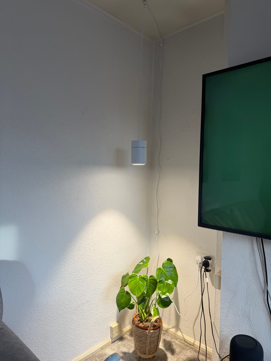 Customer photo review of Claria Grow Light Pendant