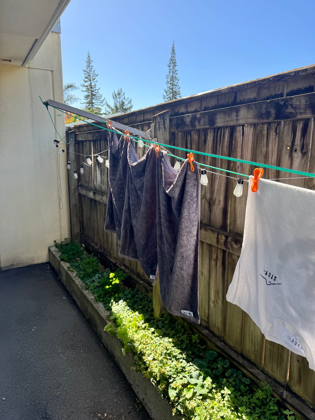 Customer photo review of Hegs Pegs 18pk