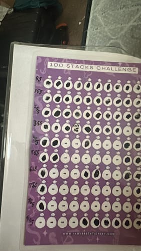 Customer photo review of In Her Bag - $5,050 Challenge Binder