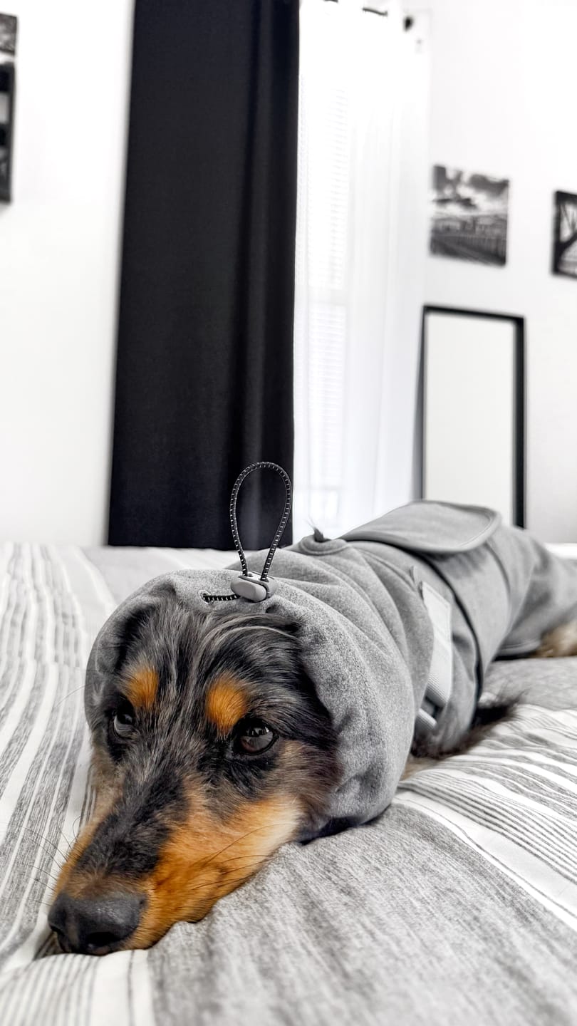 Customer photo review of Anxiety Calming Suit - Heather Grey