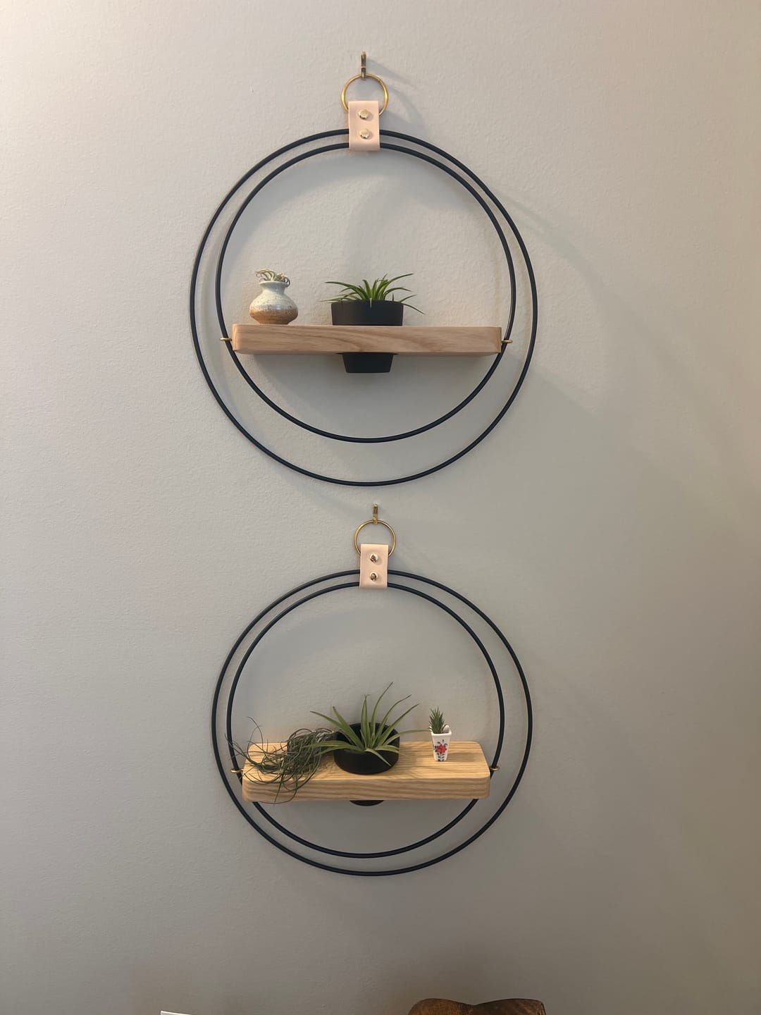 Customer photo review of Air Plant Shelf + Pot