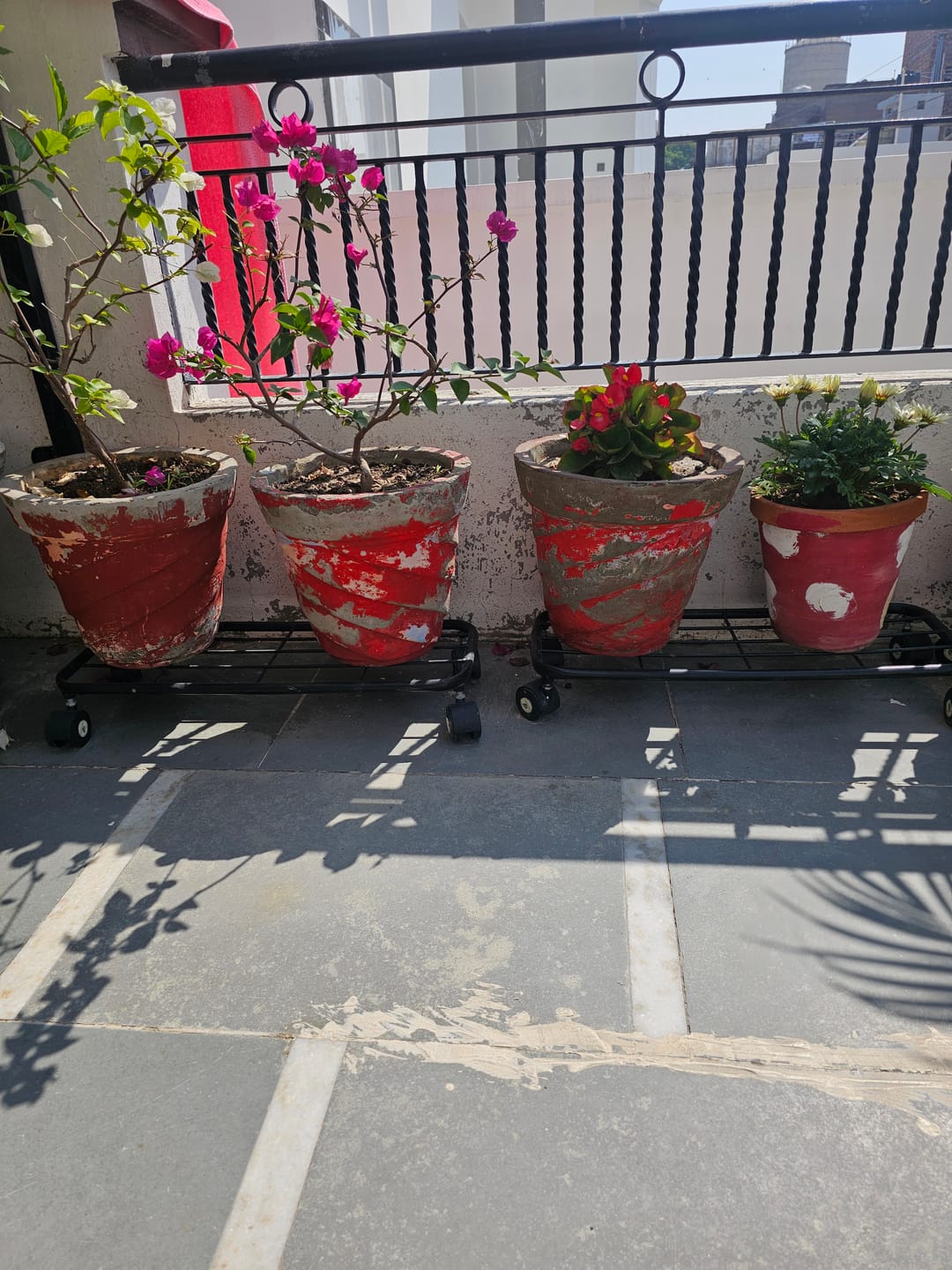 Customer photo review of TryGreen Ivy Wheel Rolling Plant Stand for Planters
