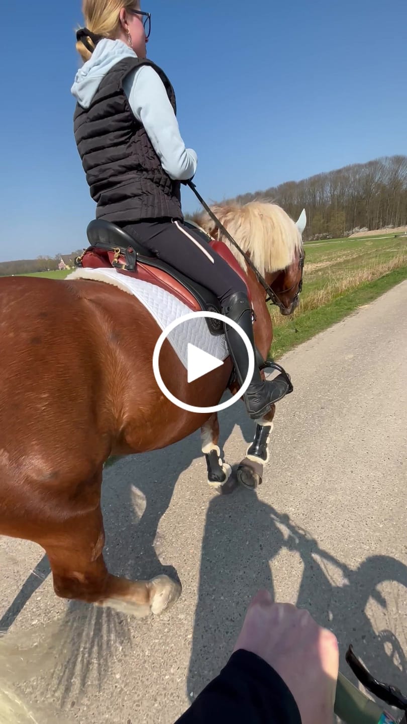 Customer video review of Engel - Korrektur Aufpolster Schabracke