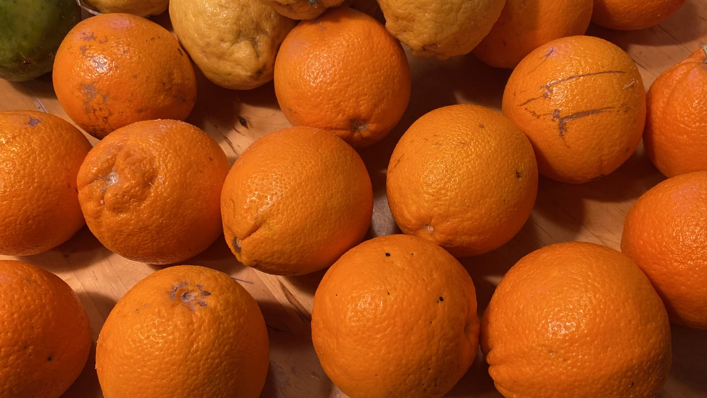Customer photo review of Orangen „Merlin“ Bio von Apostolis Kreta 4kg Box