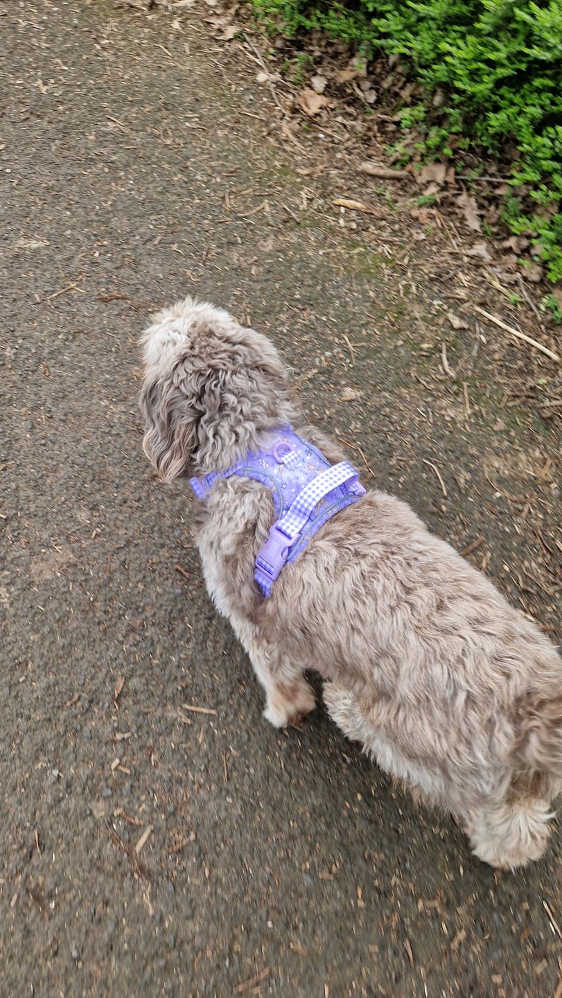 Customer photo review of Disney© Tough Trails™ Harness - Bambi + Friends Lilac