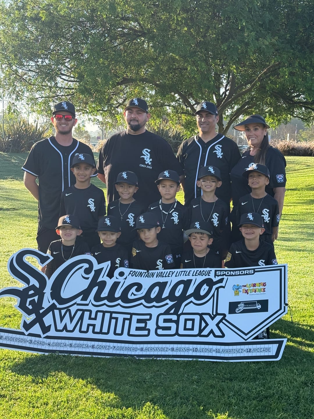 Customer photo review of Dugout Signs