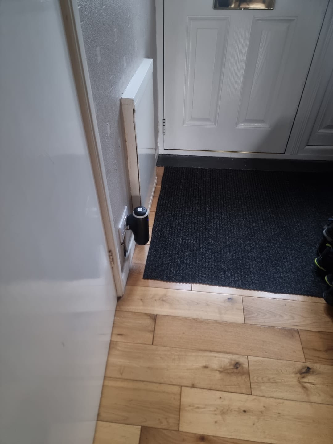 Customer photo review of ZenPlug – The Smart, Waterless Plug-In Diffuser