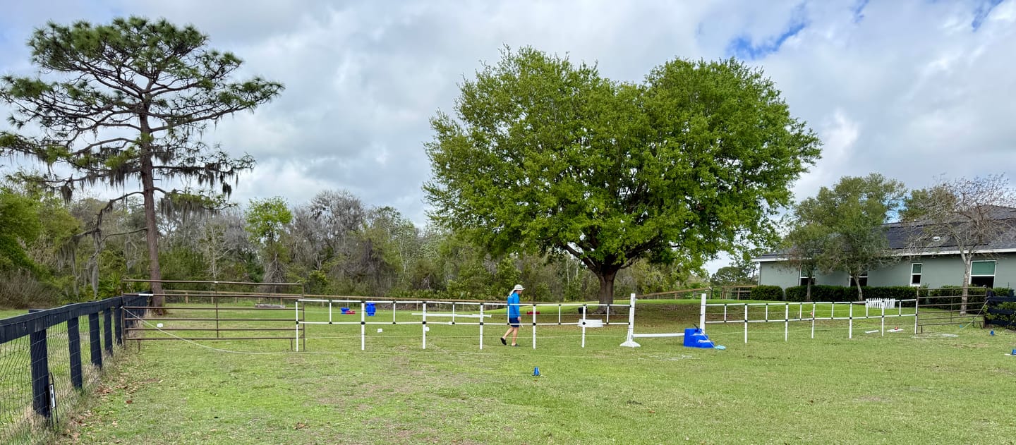 Customer photo review of Ready Made Portable Electric Horse Corral Fencing: (Electric EconoLine 10+2=12 Panels; 2 Rails)