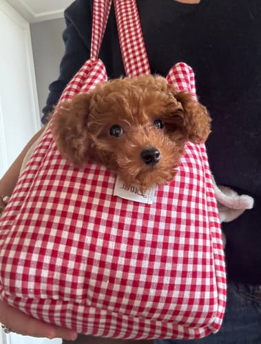 Customer photo review of Borsa Cotone Vichy Rosso