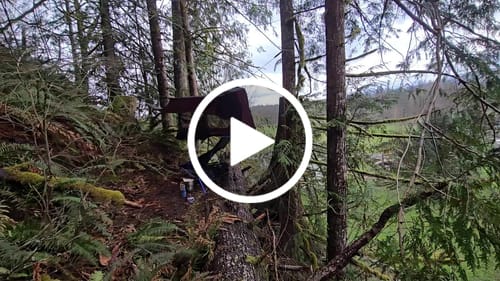 Customer video review of Haven Spectre