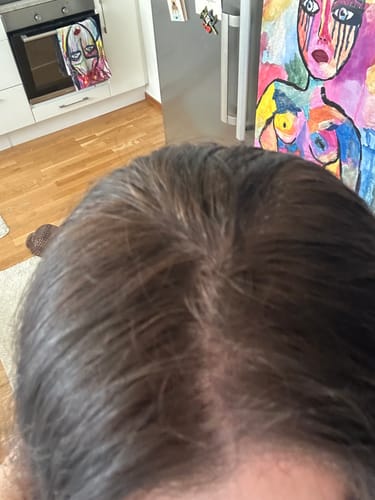 Customer's hair from above, showing some gray roots before using Grey Cover.