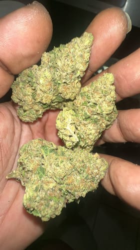 Customer photo review of Lemon Créme THCA Flower