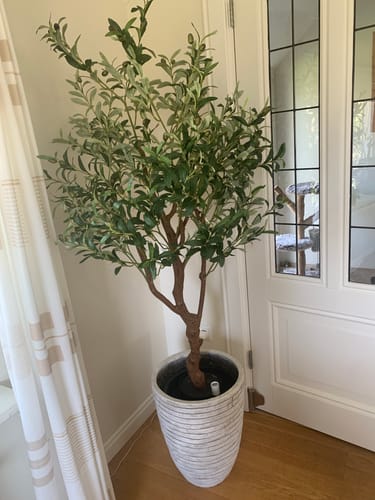Customer photo review of Kunst Olijfboom 150cm