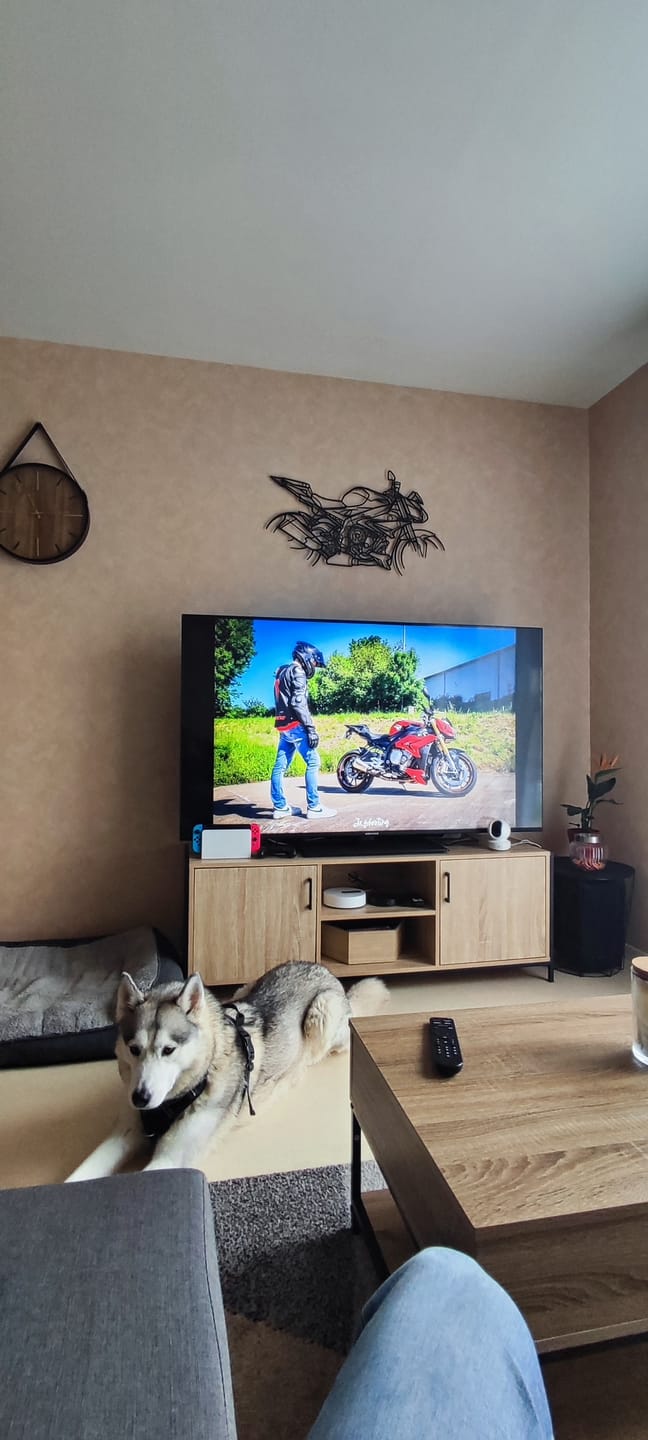 Customer photo review of S1000R Décoration murale métallique silhouette
