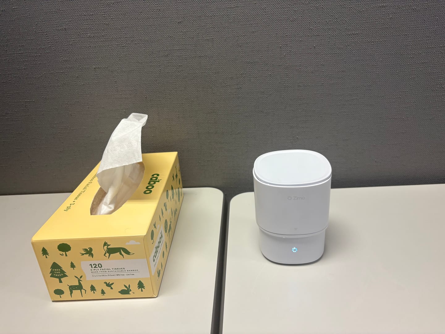 Customer photo review of Dental Pod Go