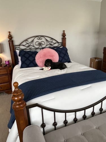 Customer photo review of MarshMellow Comforter