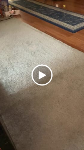 Customer video review of SPEEDY TAIL 2.0