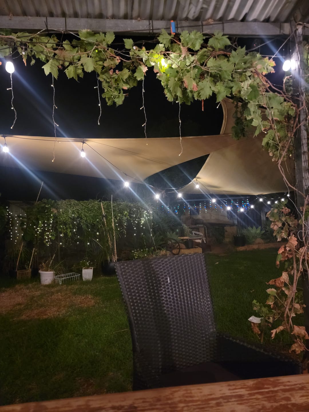 Customer photo review of SolaGarden™ Festoon Lights