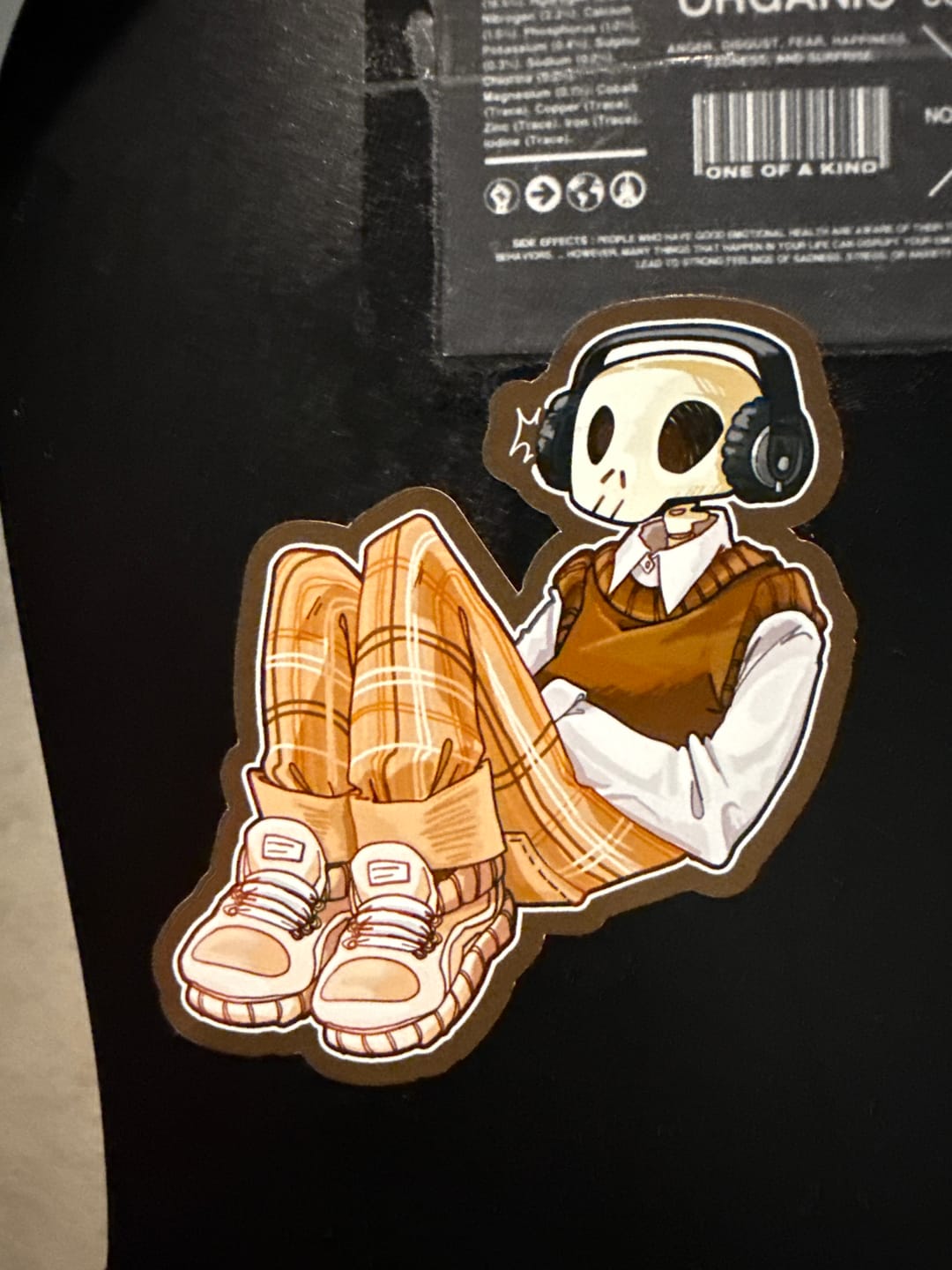 Customer photo review of Aesthetic Skeleton Cade Stickers