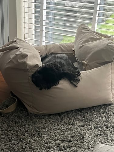 Customer photo review of Marshmallow | The Puffer Car Seat