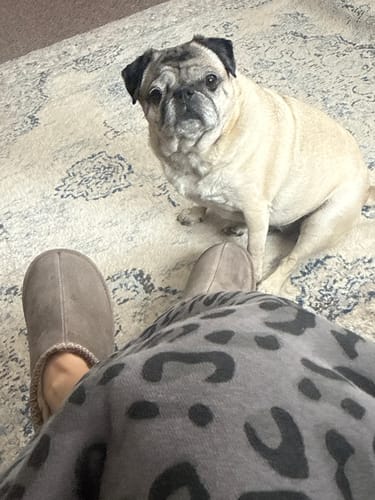 Customer photo review of MARTIS MOREL