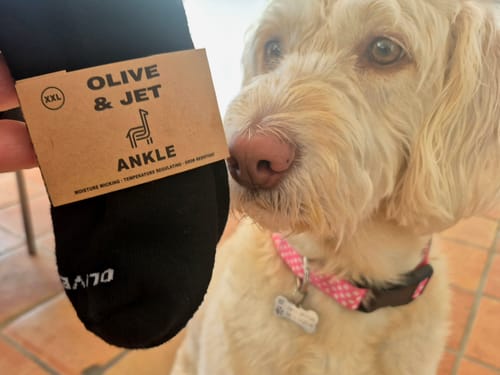 Customer holding a new pair of black Ankle Socks in the packaging next to a dog.