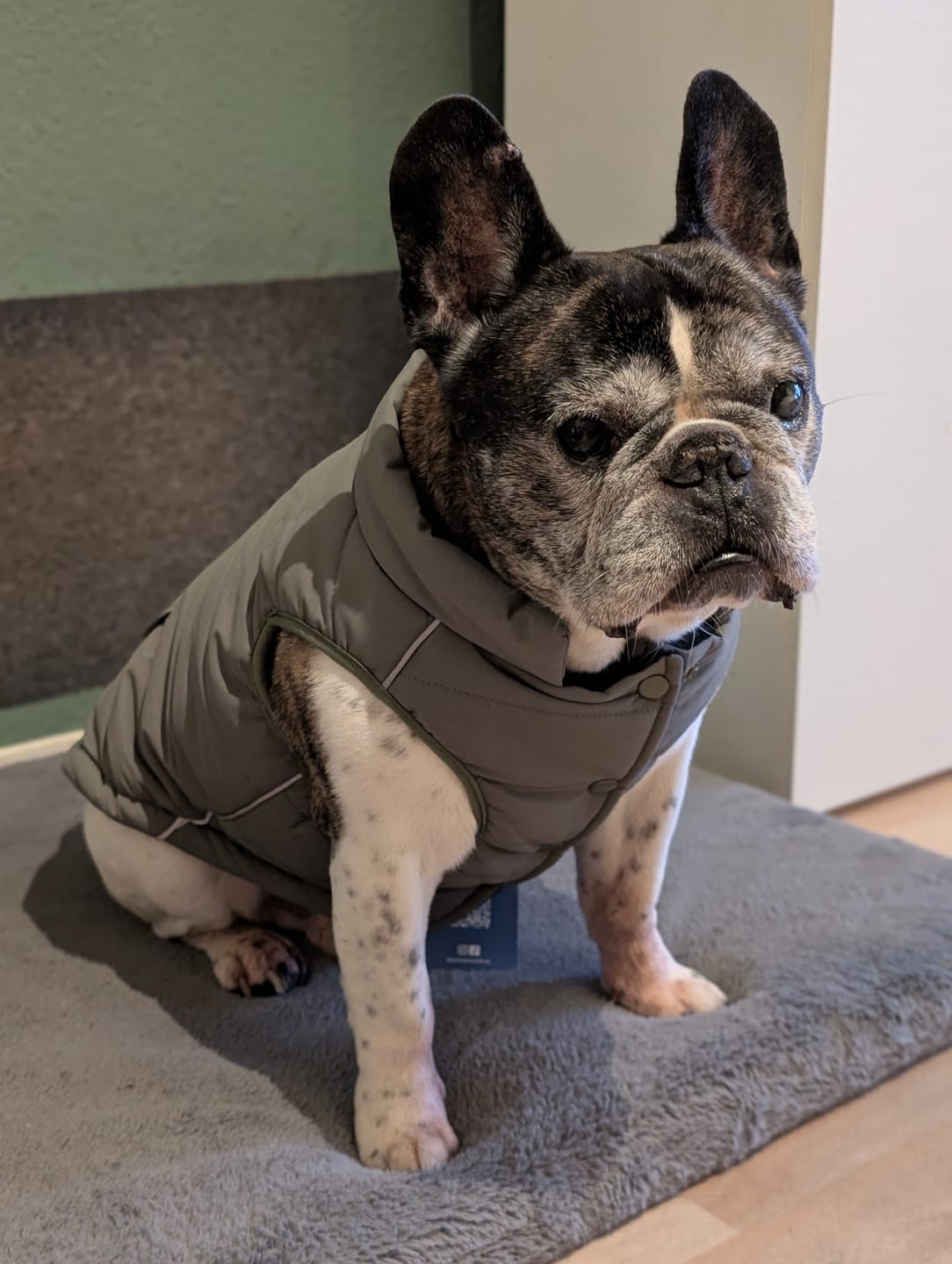 Customer photo review of WarmShield Water-Resistant Jackets