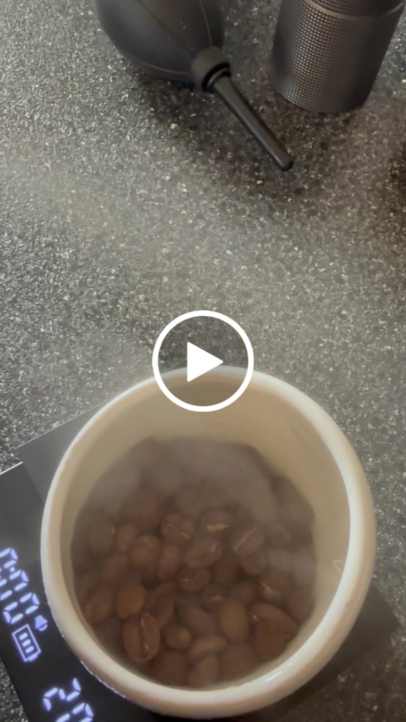Customer video review of Electric Anti-Static Bean Sprayer