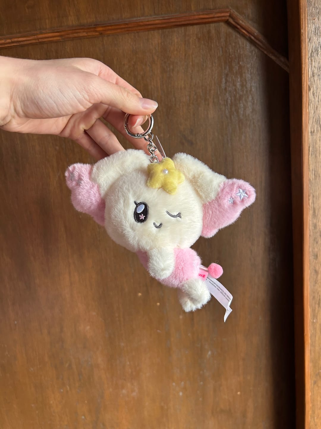 Customer photo review of ATEEZ - MIGHTEEZ WONDER FAIRY PLUSH KEYRING