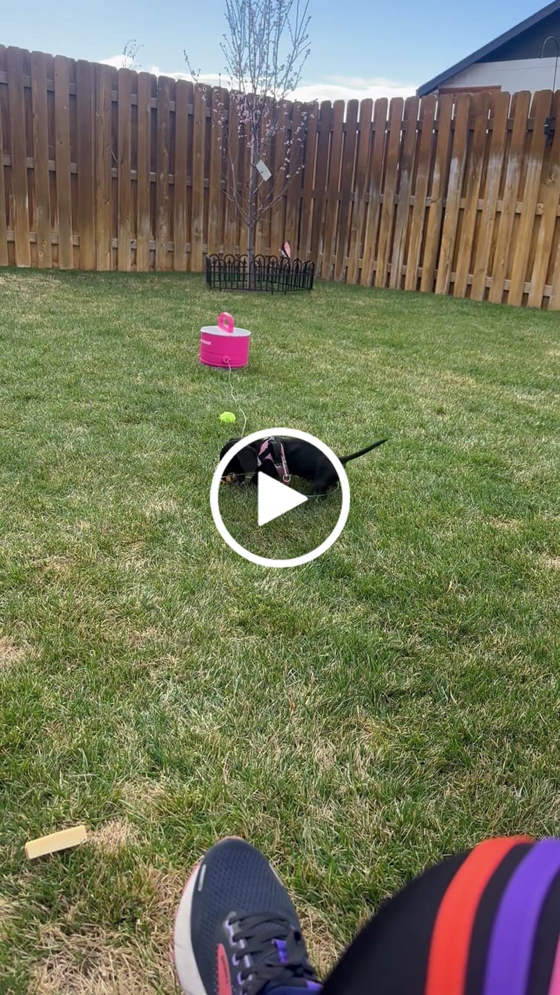 Customer video review of Pup Stack
